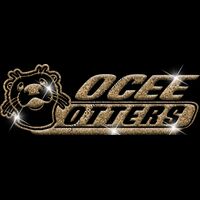 GLT102 GOLD GLITTER Thumbnail